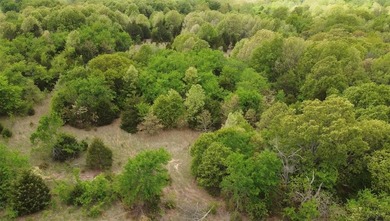 If you're looking for a turnkey hunting property, this 40-acre - photo 16