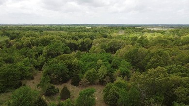 If you're looking for a turnkey hunting property, this 40-acre - photo 17