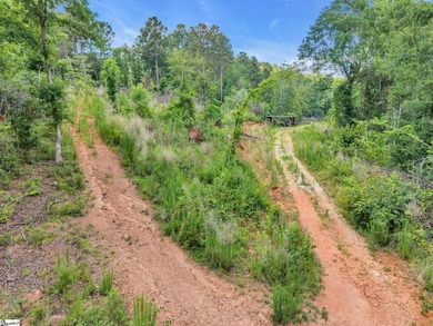 51 Acres with 2700+/- feet of Lake Frontage on Lake Blalock!! - photo 18