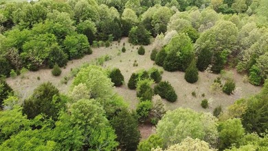 If you're looking for a turnkey hunting property, this 40-acre - photo 18