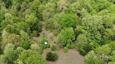 If you're looking for a turnkey hunting property, this 40-acre - photo 19