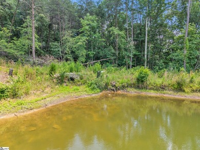 51 Acres with 2700+/- feet of Lake Frontage on Lake Blalock!! - photo 20