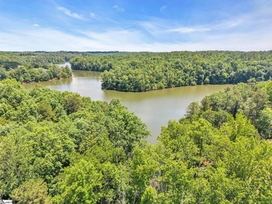51 Acres with 2700+/- feet of Lake Frontage on Lake Blalock!! - photo 21