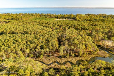 Neuse River Lot For Sale in Oriental North Carolina