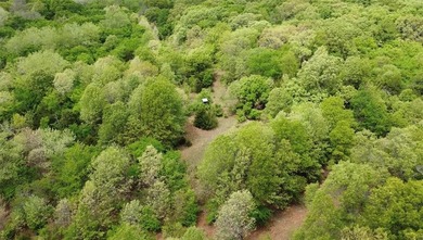 If you're looking for a turnkey hunting property, this 40-acre - photo 21
