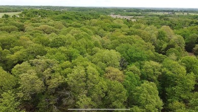 If you're looking for a turnkey hunting property, this 40-acre - photo 24