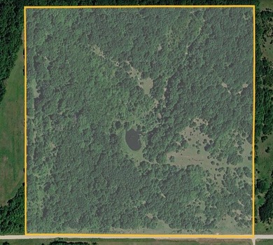 If you're looking for a turnkey hunting property, this 40-acre - photo 25
