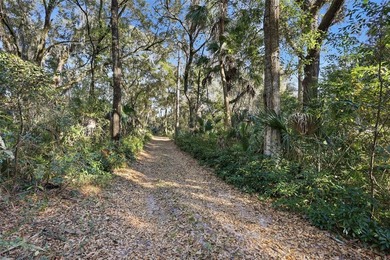 Prime development opportunity 3.68 ACRES | TWO PARCELS. HIGH - photo 31
