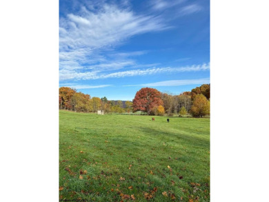 (private lake, pond, creek) Acreage For Sale in Huttonsville West Virginia