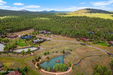 Lake Lot For Sale in Pinetop, Arizona
