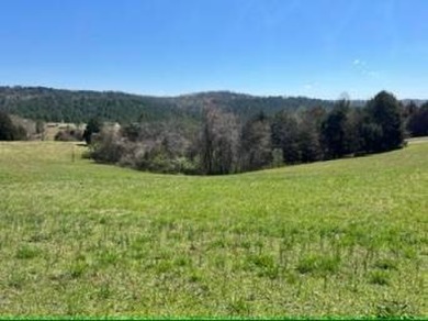 Lake Lot For Sale in Decatur, Tennessee