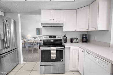 LOCATION, LOCATION, LOCATION! Large furnished Gulf Access pool - photo 19