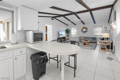 LOCATION, LOCATION, LOCATION! Large furnished Gulf Access pool - photo 21