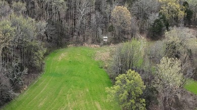 This expansive 675 acre +/- property in Tallahatchie County, MS - photo 2