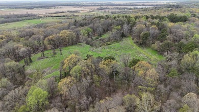 This expansive 675 acre +/- property in Tallahatchie County, MS - photo 4