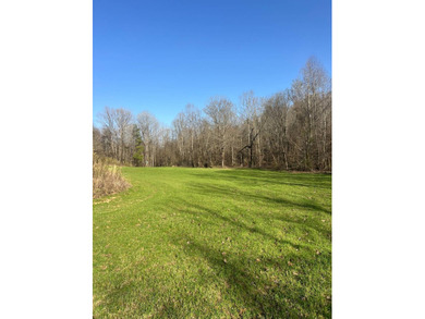 This expansive 675 acre +/- property in Tallahatchie County, MS - photo 7