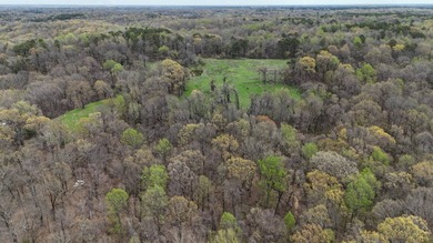 This expansive 675 acre +/- property in Tallahatchie County, MS - photo 9