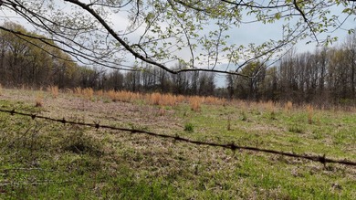 This expansive 675 acre +/- property in Tallahatchie County, MS - photo 10