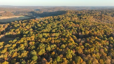 North Fork River - Ozark County Acreage For Sale in Tecumseh Missouri