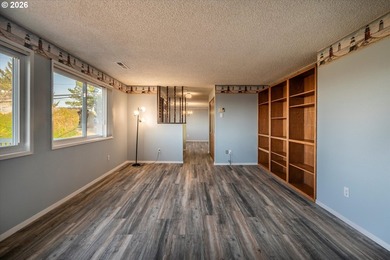 Views! Views! Views! This lovely home is situated on a corner - photo 6
