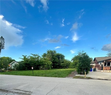 Rare Downtown McGregor Quarter-Acre Lot - Build Your Dream Home - photo 3