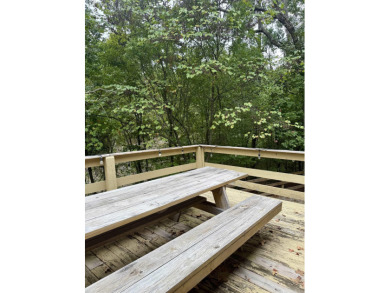 Looking for a lake getaway? This charming 3-bedroom, 1.5-bath - photo 36