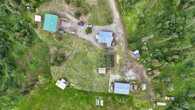 Lake Home For Sale in Delta Junction, Alaska