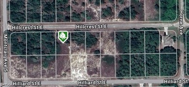 Lehigh Acres Area Lot For Sale in Lehigh Acres Florida