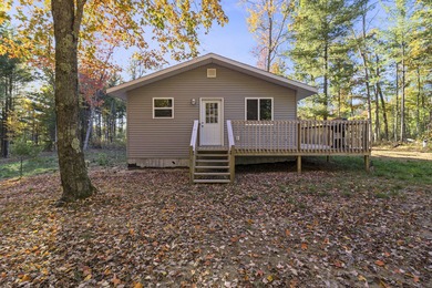 Lake Home For Sale in Baldwin, Michigan