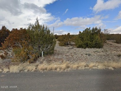 Concho Lake Lot For Sale in Concho Arizona
