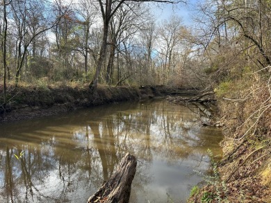 (private lake, pond, creek) Acreage For Sale in Kosciusko Mississippi