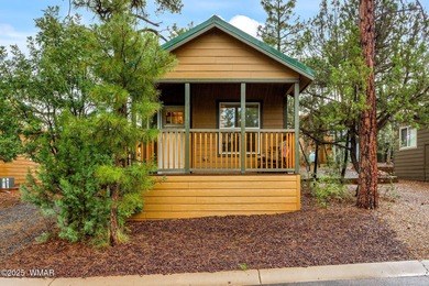 Show Low Lake Home For Sale in Show Low Arizona