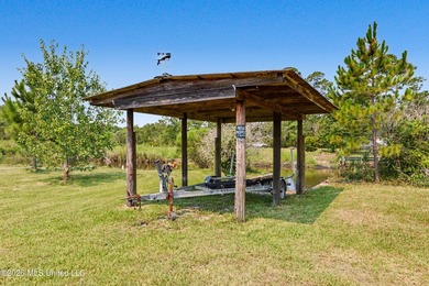 Welcome to this one-of-a-kind waterfront retreat where custom - photo 45