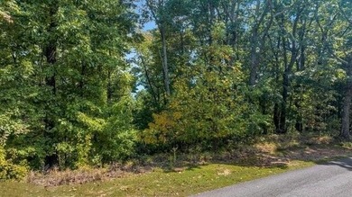 This high elevation 3+ acre scenic mountain view homesite is in - photo 6