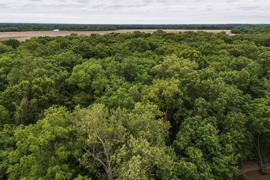 If you are looking for your run of the mill Kansas - photo 49