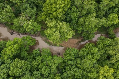 If you are looking for your run of the mill Kansas - photo 50
