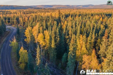 Lake Lot For Sale in North Pole, Alaska