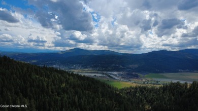 (private lake, pond, creek) Acreage For Sale in Saint Maries Idaho