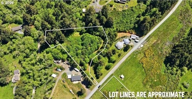 Gorgeous Ocean and Mountain Views from this beautiful 2.6 acres - photo 2