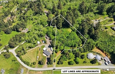 Gorgeous Ocean and Mountain Views from this beautiful 2.6 acres - photo 3