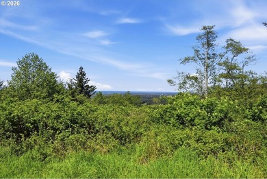 Gorgeous Ocean and Mountain Views from this beautiful 2.6 acres - photo 4