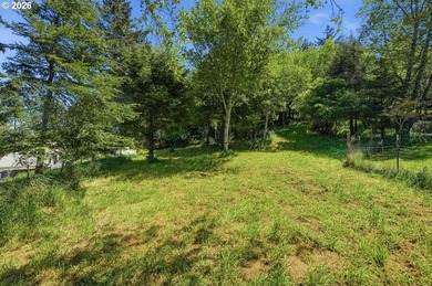 Gorgeous Ocean and Mountain Views from this beautiful 2.6 acres - photo 5