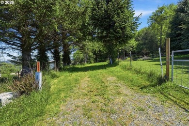 Gorgeous Ocean and Mountain Views from this beautiful 2.6 acres - photo 6