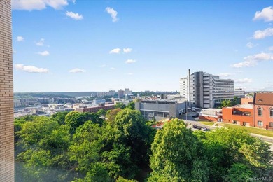 Welcome to 6 Fordham Hill Oval, Unit 12H, a move-in ready - photo 18
