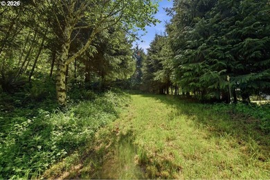 Gorgeous Ocean and Mountain Views from this beautiful 2.6 acres - photo 8