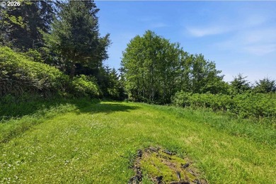 Gorgeous Ocean and Mountain Views from this beautiful 2.6 acres - photo 9
