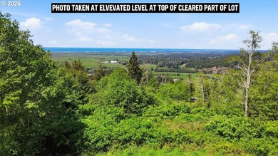 Gorgeous Ocean and Mountain Views from this beautiful 2.6 acres - photo 10