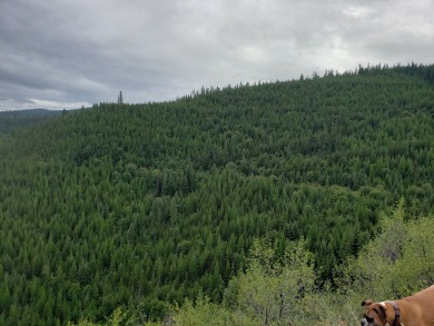 (private lake, pond, creek) Acreage For Sale in Huson Montana