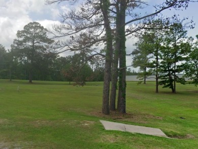Lake Acreage For Sale in Brookeland, Texas