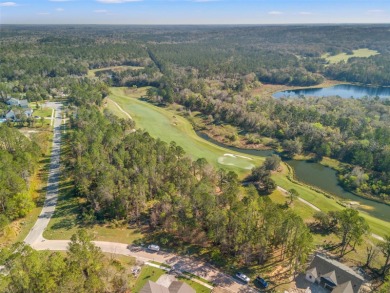 (private lake, pond, creek) Lot For Sale in Brooksville Florida